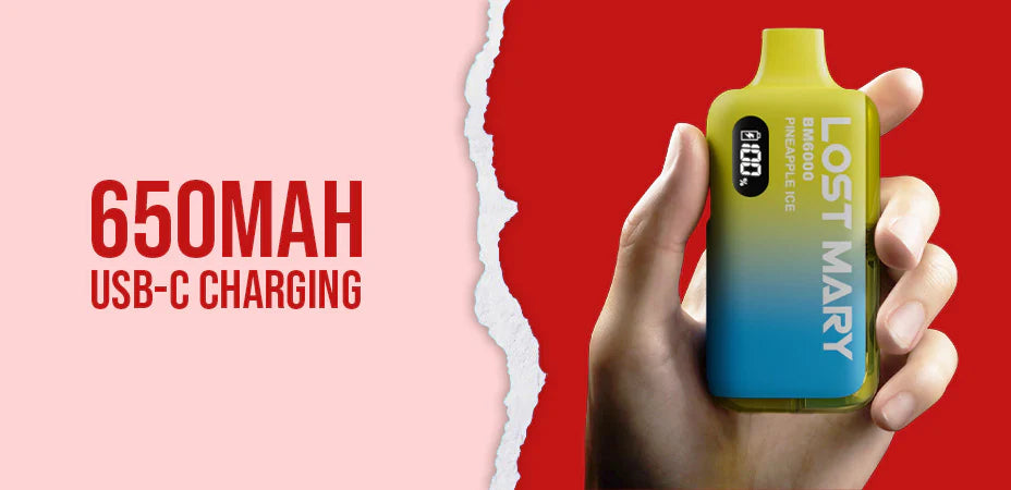 Banner showing the Lost Mary BM6000 Prefilled Pod Kit's Battery